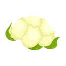 Contact Amber Garden Centre for your cauliflower plants