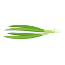 Contact Amber Garden Centre for your spring onion plants