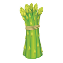 Contact Amber Garden Centre for your asparagus plants