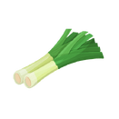 Contact Amber Garden Centre for your leek plants