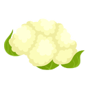 Contact Amber Garden Centre for your cauliflower plants