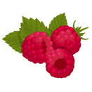 Contact Amber Garden Centre for your rasberry plants