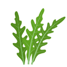 Contact Amber Garden Centre for your rocket plants