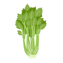 Contact Amber Garden Centre for your celery plants