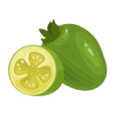 Contact Amber Garden Centre for your feijoa trees