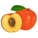 Contact Amber Garden Centre for your apricot plants