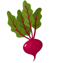 Contact Amber Garden Centre for your beetroot plants