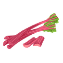 Contact Amber Garden Centre for your rhubarb plants