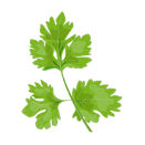 Contact Amber Garden Centre for your parsley plants