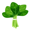 Contact Amber Garden Centre for your spinach plants