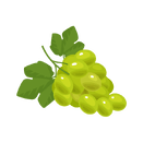 Contact Amber Garden Centre for your grape vines