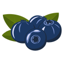 Contact Amber Garden Centre for your blueberry plants