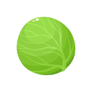 Contact Amber Garden Centre for your cabbage plants