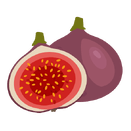 Contact Amber Garden Centre for your fig trees