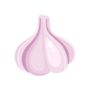 Contact Amber Garden Centre for your garlic plants