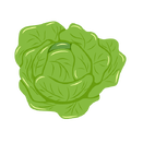 Contact Amber Garden Centre for you January Lettuce