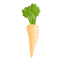 Contact Amber Garden Centre for your parsnip plants