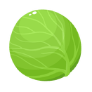 Contact Amber Garden Centre for your cabbage plants