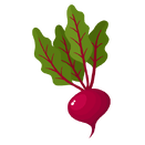 Contact Amber Garden Centre for your beetroot plants