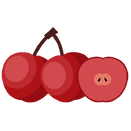 Contact Amber Garden Centre for your crabapple trees