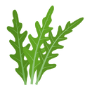 Contact Amber Garden Centre for your rocket plants