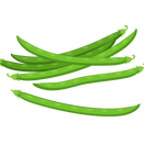 Contact Amber Garden Centre for your beans plants