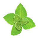 Contact Amber Garden Centre for your mint plants