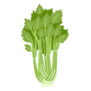 Contact Amber Garden Centre for your celery plants