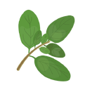 Contact Amber Garden Centre for your marjoram plants