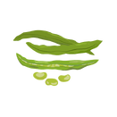 Contact Amber Garden Centre for your broadbeans plants