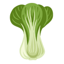 Contact Amber Garden Centre for your bok choy plants