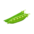 Contact Amber Garden Centre for your pea plants