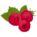 Contact Amber Garden Centre for your rasberry plants