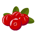 Contact Amber Garden Centre for your cranberry plants