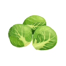 Contact Amber Garden Centre for your brussel sprout plants