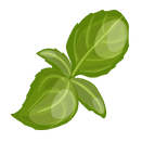 Contact Amber Garden Centre for your basil plants