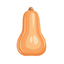 Contact Amber Garden Centre for you January Squash