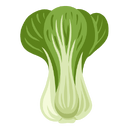 Contact Amber Garden Centre for your bok choy plants