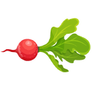 Contact Amber Garden Centre for your radish plants