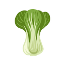 Contact Amber Garden Centre for your bok choy plants