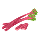 Contact Amber Garden Centre for your rhubarb plants