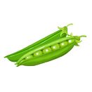 Contact Amber Garden Centre for your pea plants