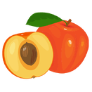 Contact Amber Garden Centre for your apricot plants