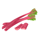 Contact Amber Garden Centre for your rhubarb plants