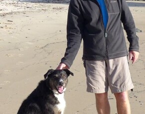 Community Newsletter