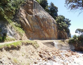 Community Newsletter