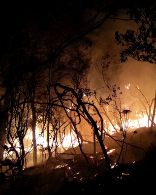 A piece of scrub on fire in Kuaotunu on the Coromandel Peninsula