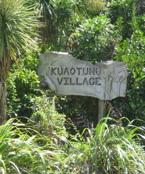 The wooden Kuaotunu Village sign nestled in native bush at the entrance to Kuaotunu on the Coromandel Peninsula