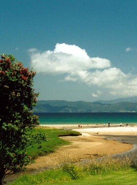 Families enjoying the sunshine and the pohutukawa in flower at the Kuaotunu river mouth on the Coromandel Peninsula
