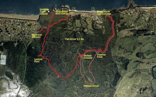 An aerial view of the Matarangi Scenic Reserve (bordering Rings Beach) showing the walking tracks